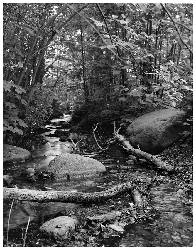 The Stream