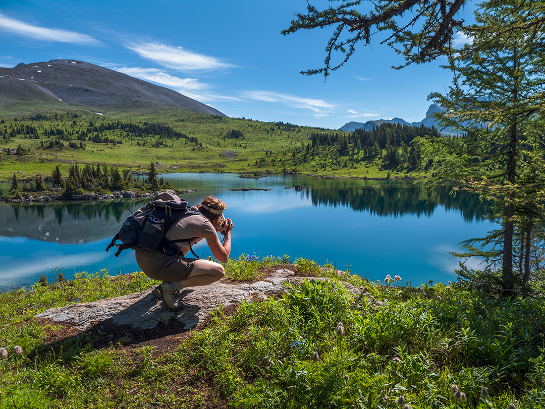 The Sweetie hard at work capturing alpine flowers