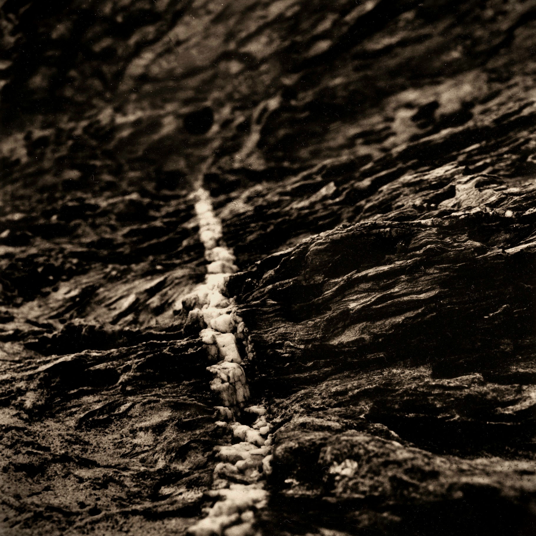 The trail