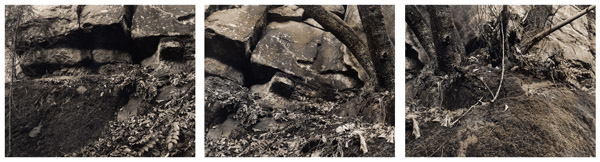 The Undercliff