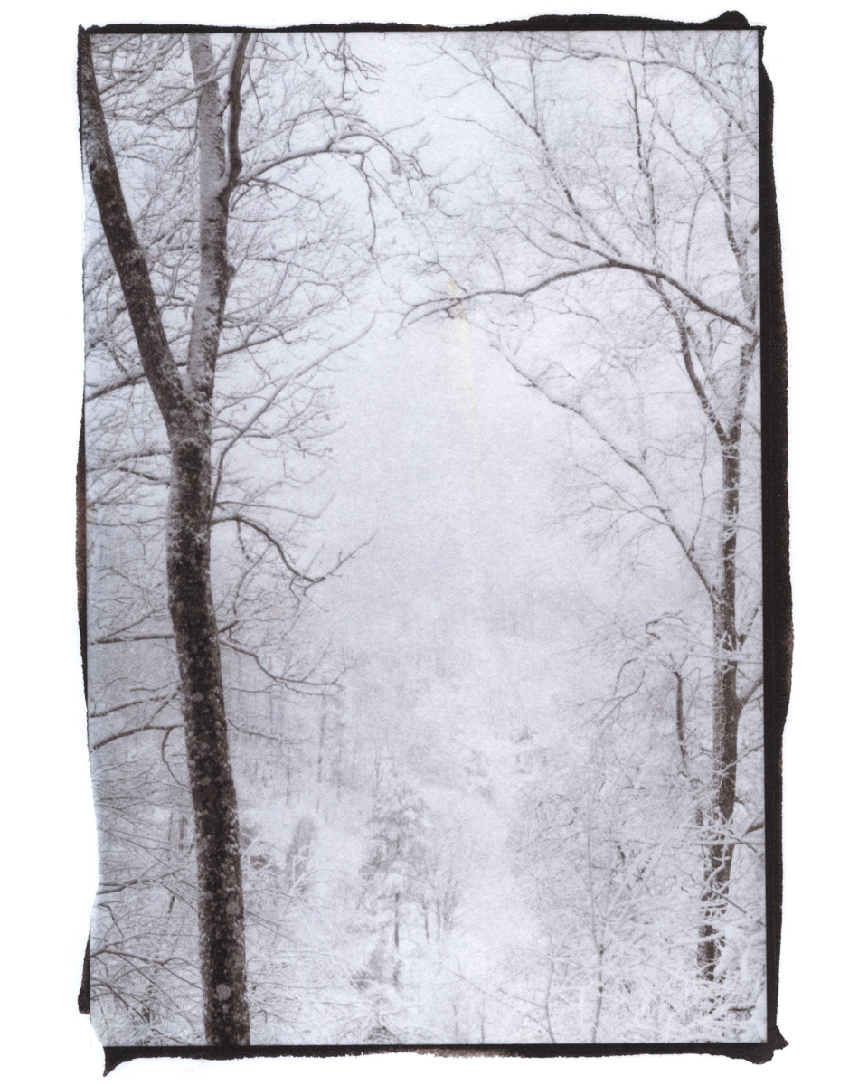 The view from my window (January 2022)