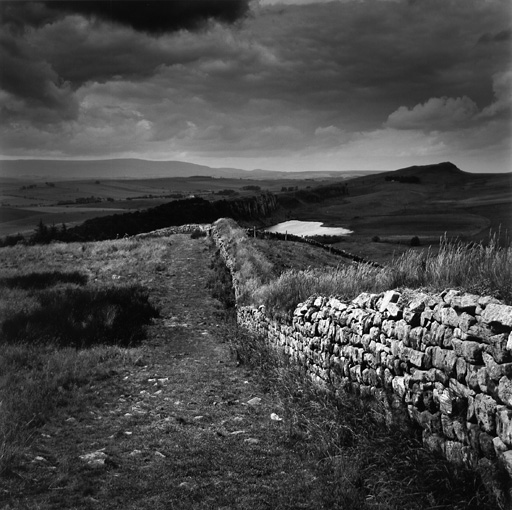 The Wall