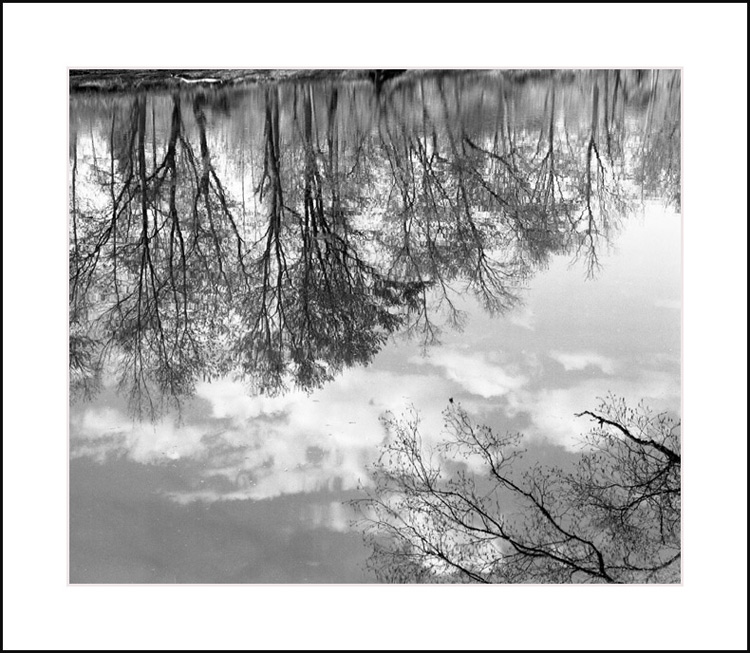 The Wallkill River at Benedict Farm 1