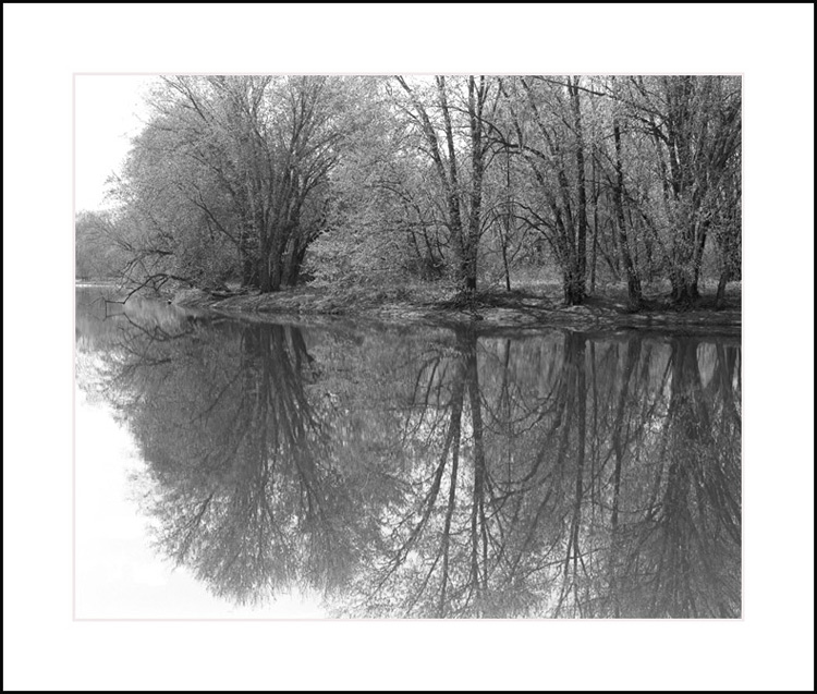 The Wallkill River at Benedict Farm 2