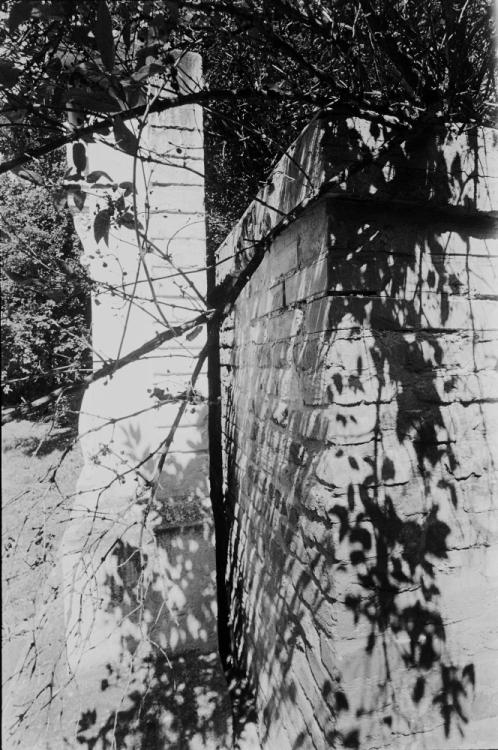 The "waltz King's" Grave, Vienna, Summer 2009