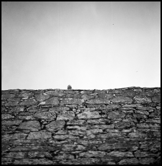 The Watcher, Northern Ireland 2010