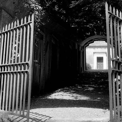 The way in