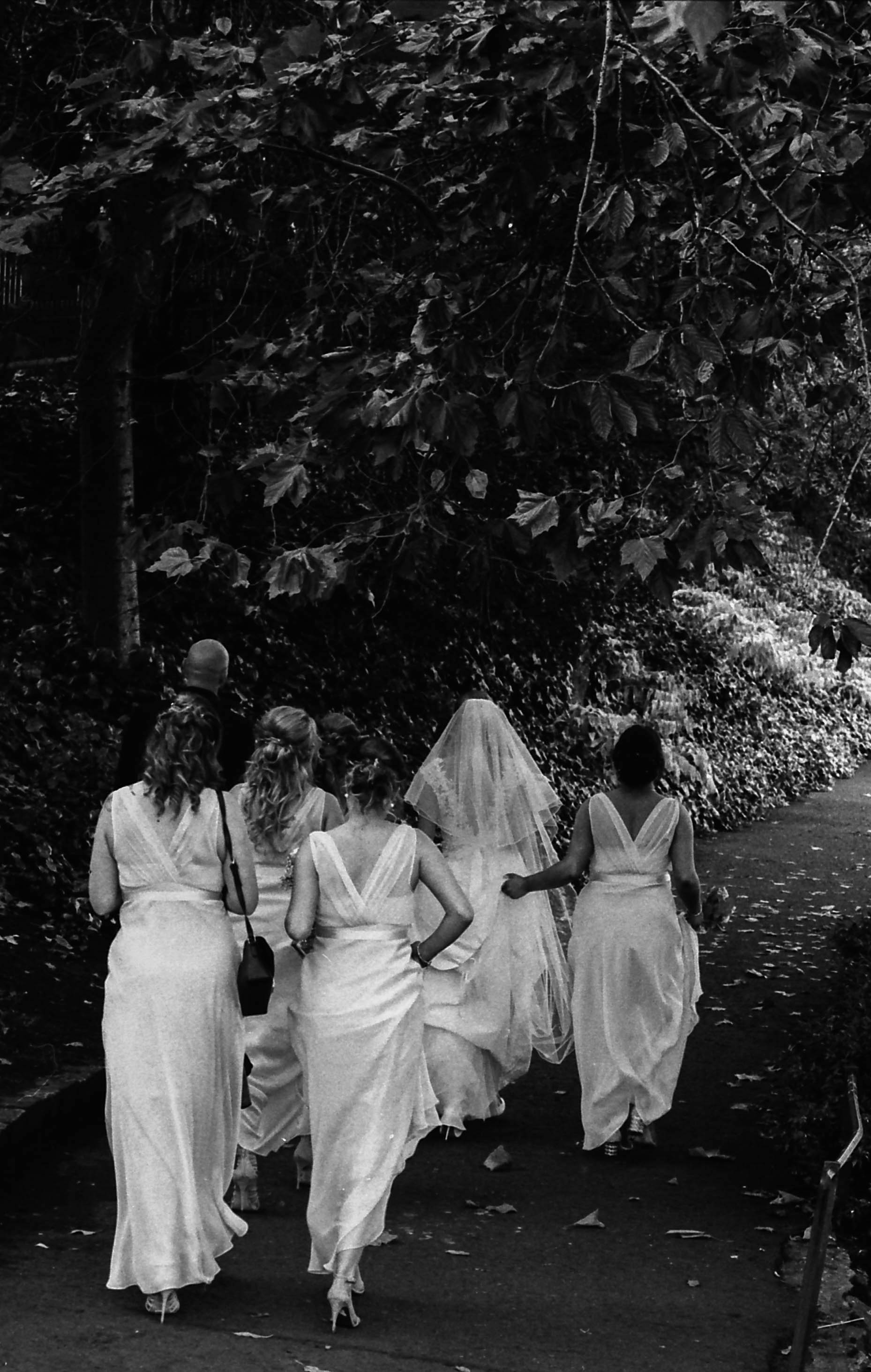 The Wedding Party