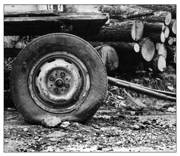 the wheel