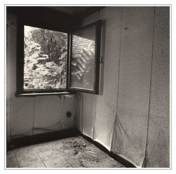 The Window