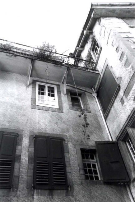 The Window