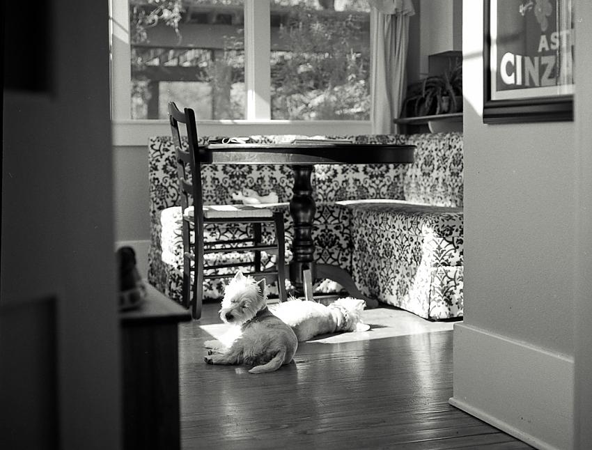 Their Space