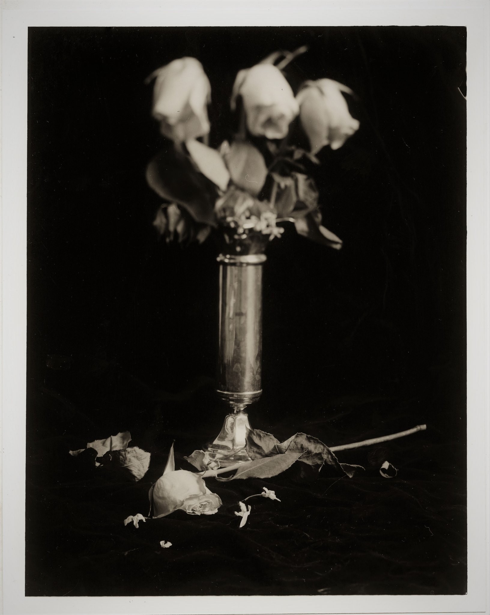 "Then there were 3" MSA November / December 2019