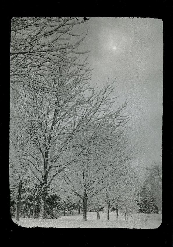 Theo Wirth Park