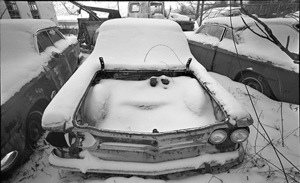 Think Snow