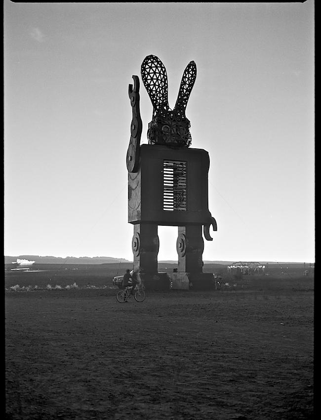 This bunny is going to burn