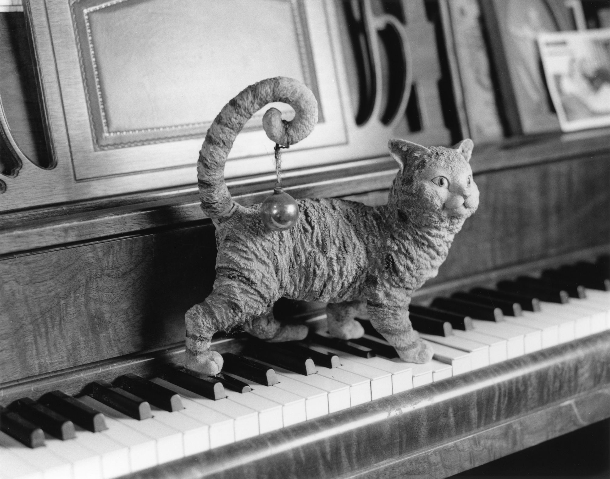 This Cat Can't Play