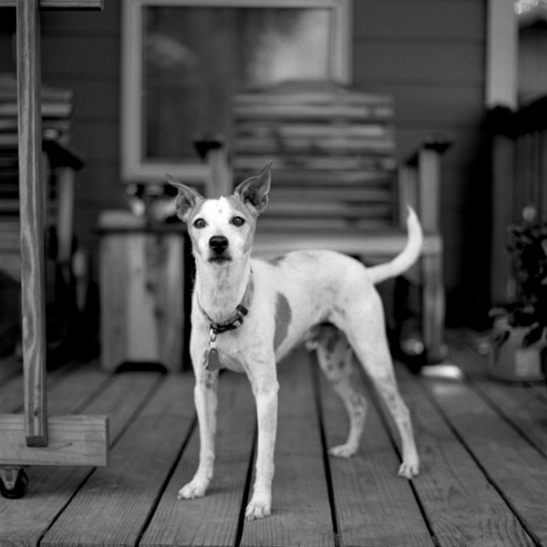 This is my porch.