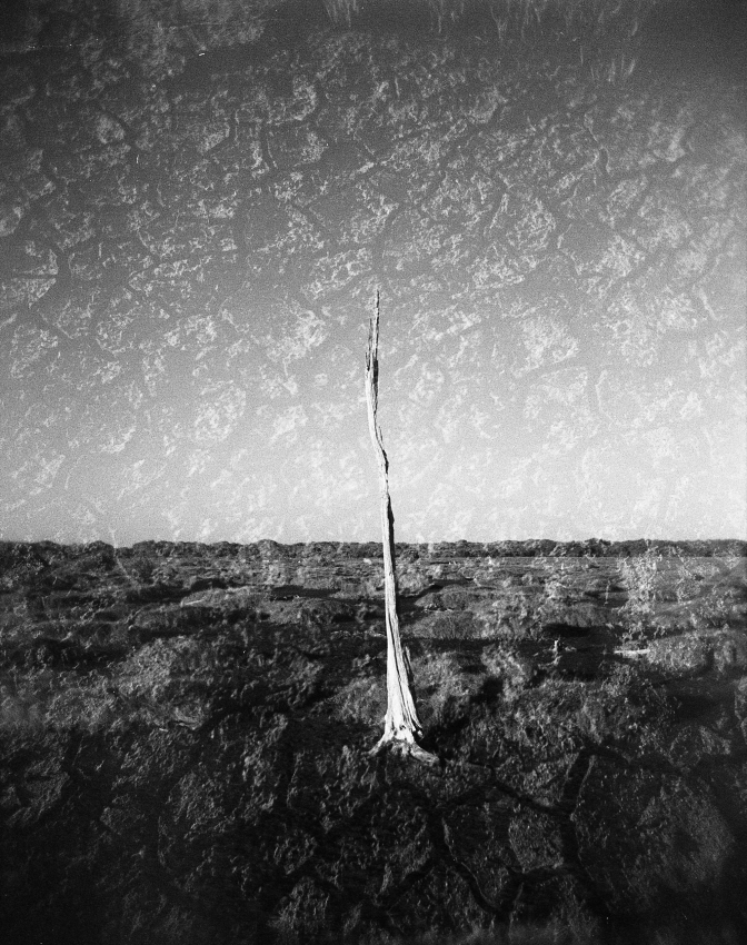 This Parched Earth