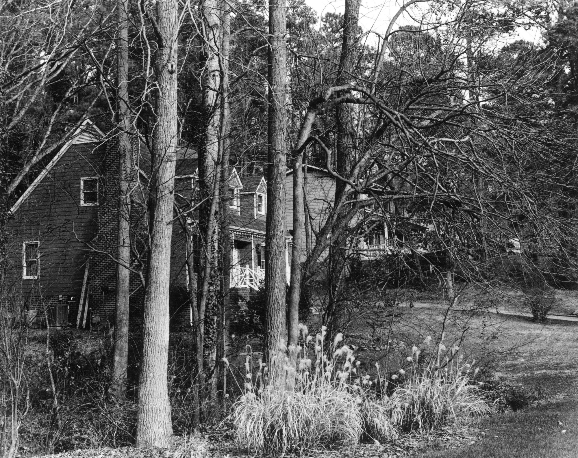 Thistlecone Way-2