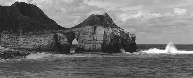 thornwick bay 2