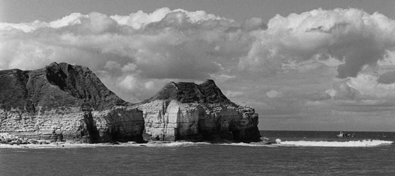 thornwick bay