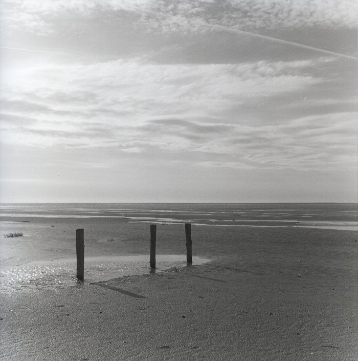 Three Pickets IV