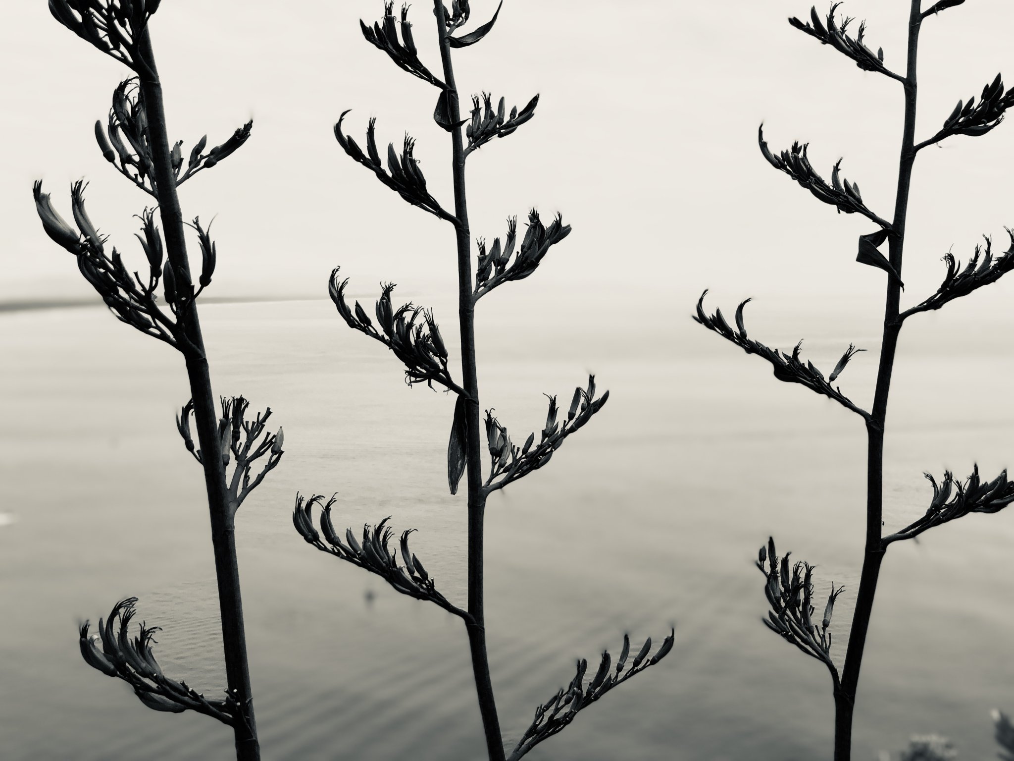 Three Sentries