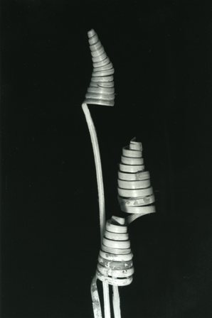 Three Spirals