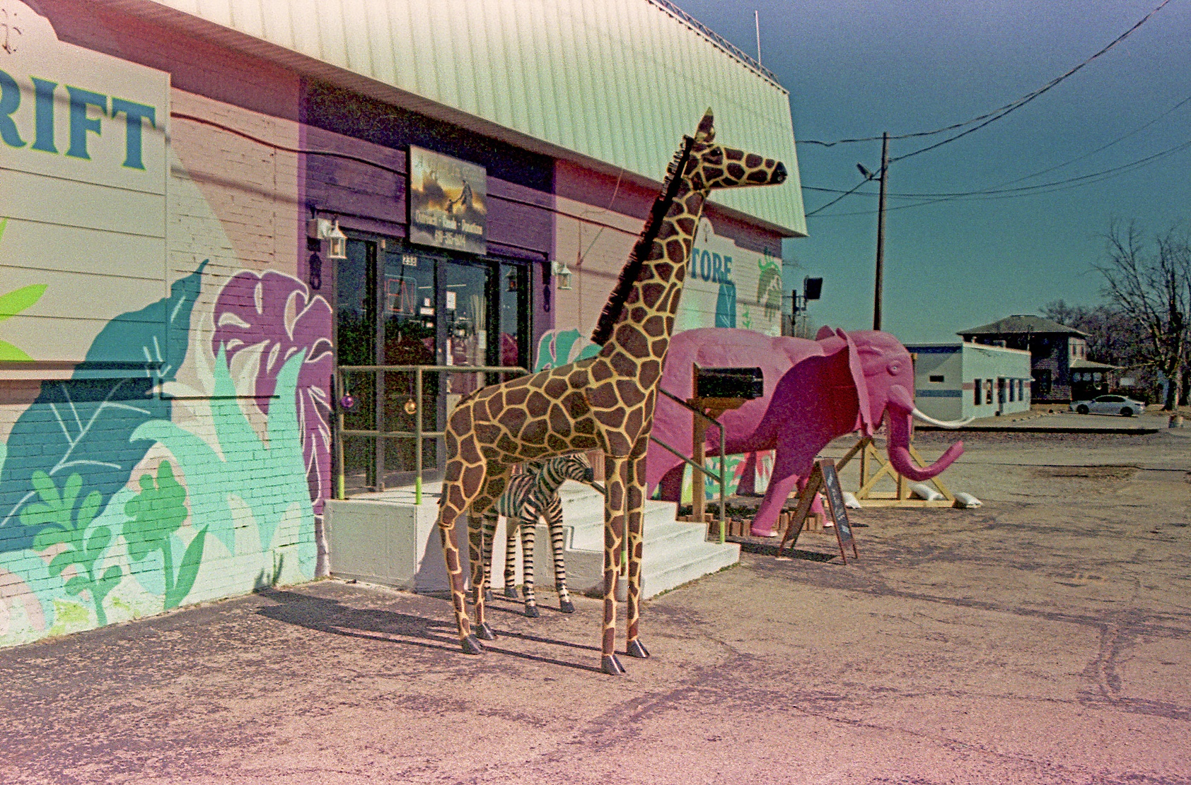 Thrift Store