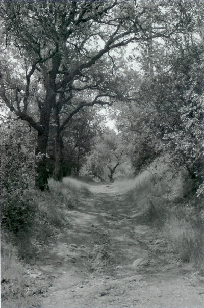 Through The Eye Of A Tourist - Pozo Trail