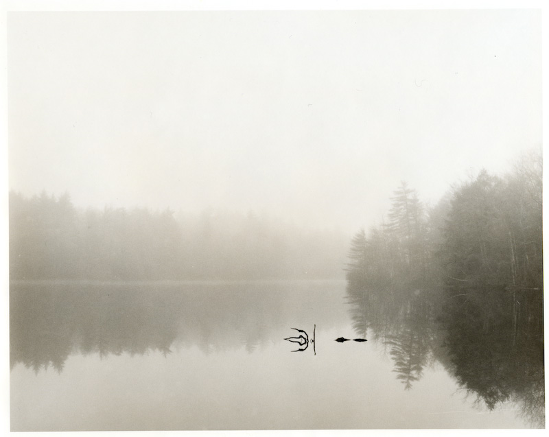 Through The Fog