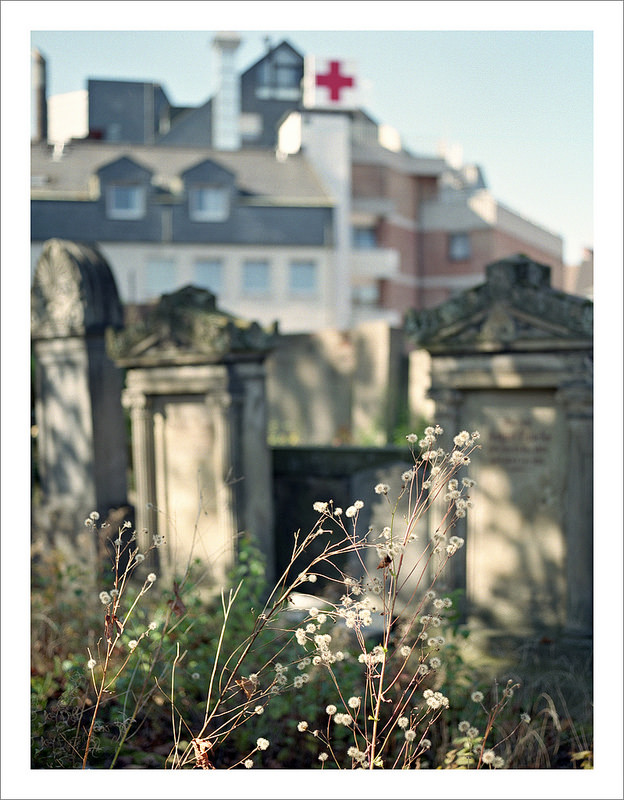 Through the graves the wind is blowing