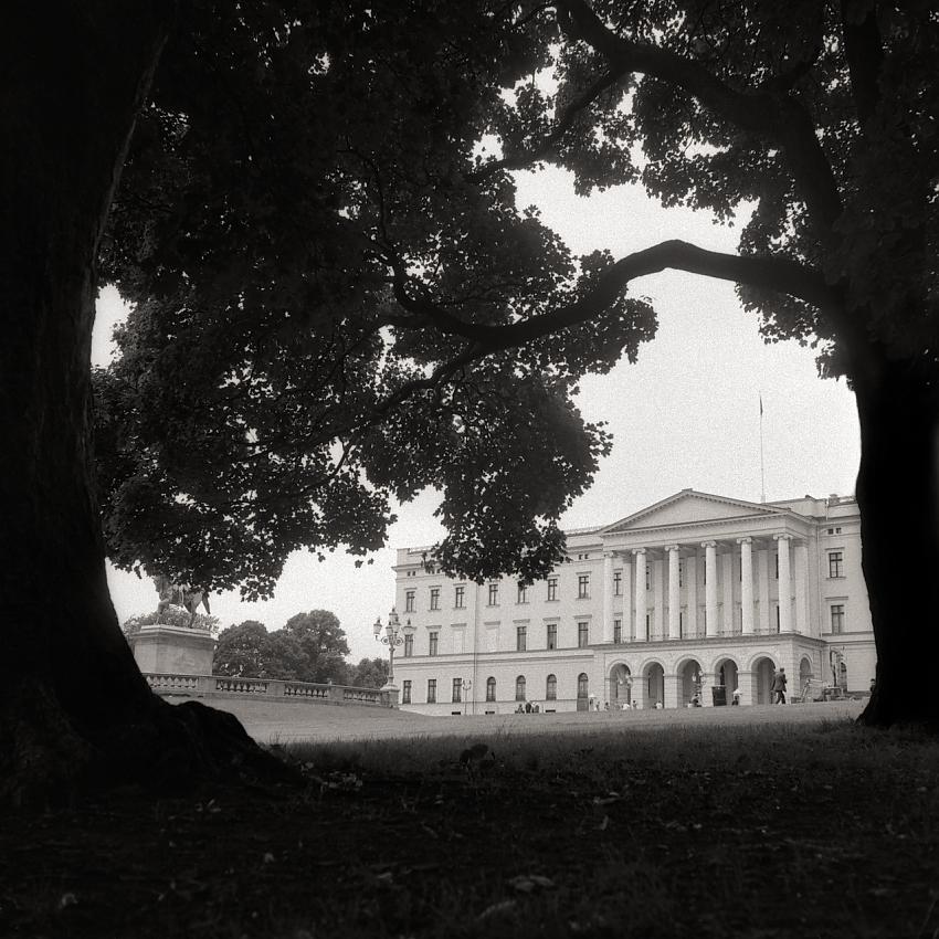 Through the trees looms a palace