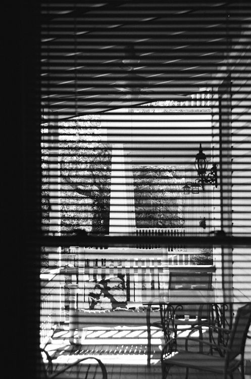 Through the Window