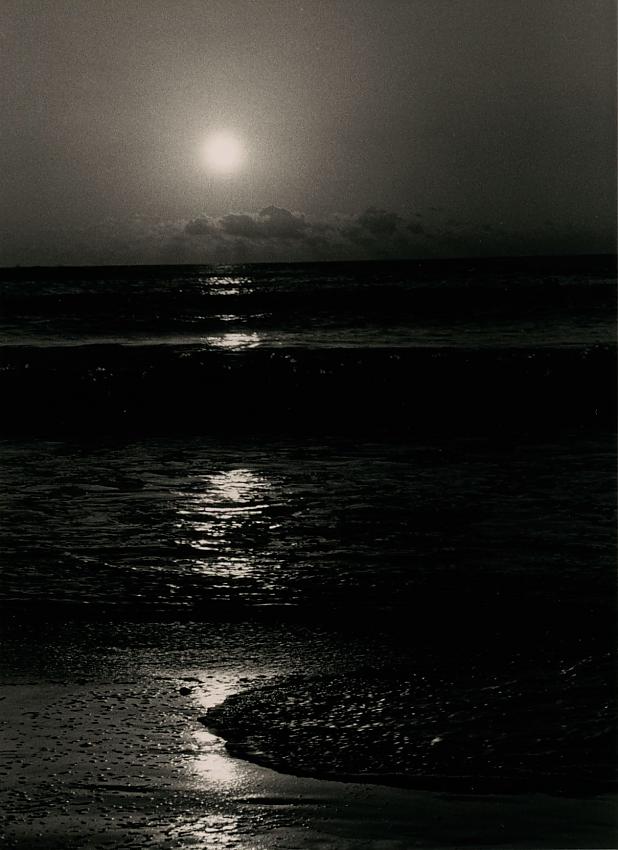 Tico Sunset