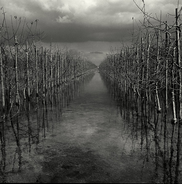 Tidal Region
