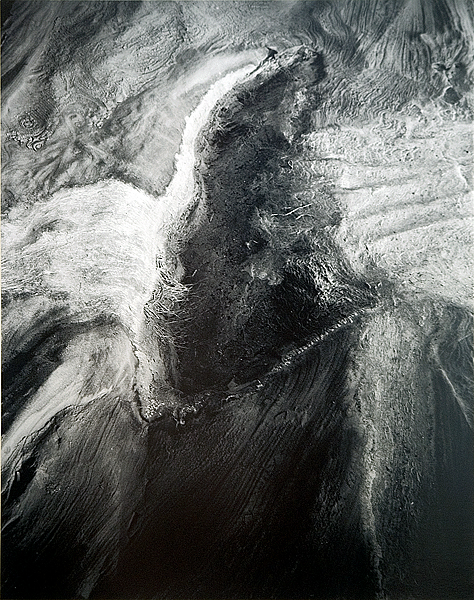Tidal Wings