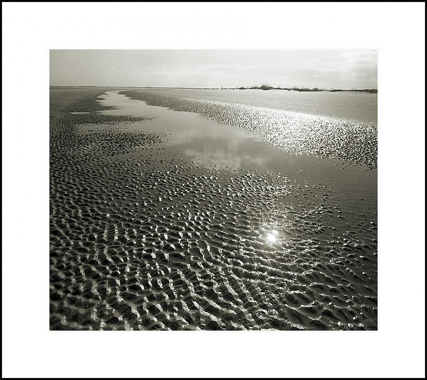 Tide Prints