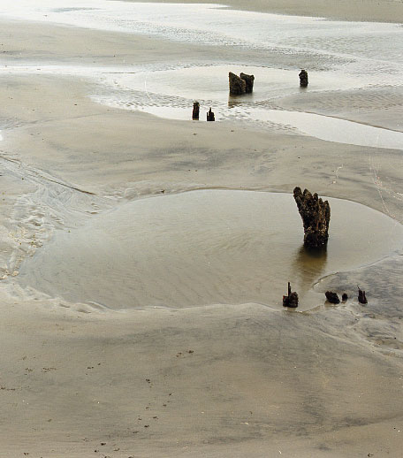 Tide's Out!