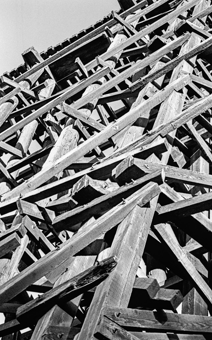 Timber