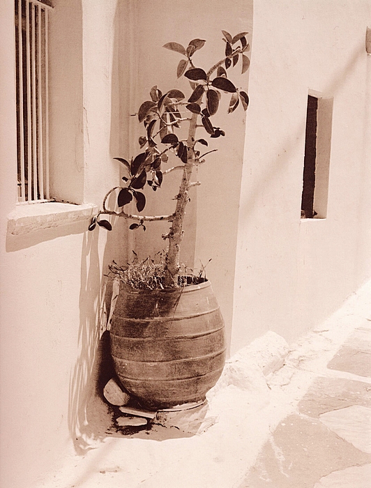 Tinos, Greece