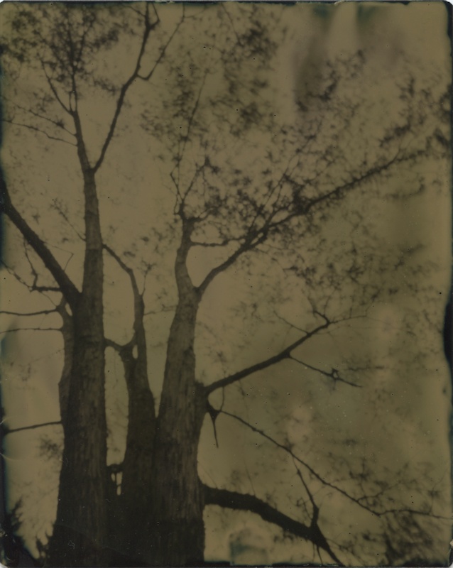 tintype/pinhole