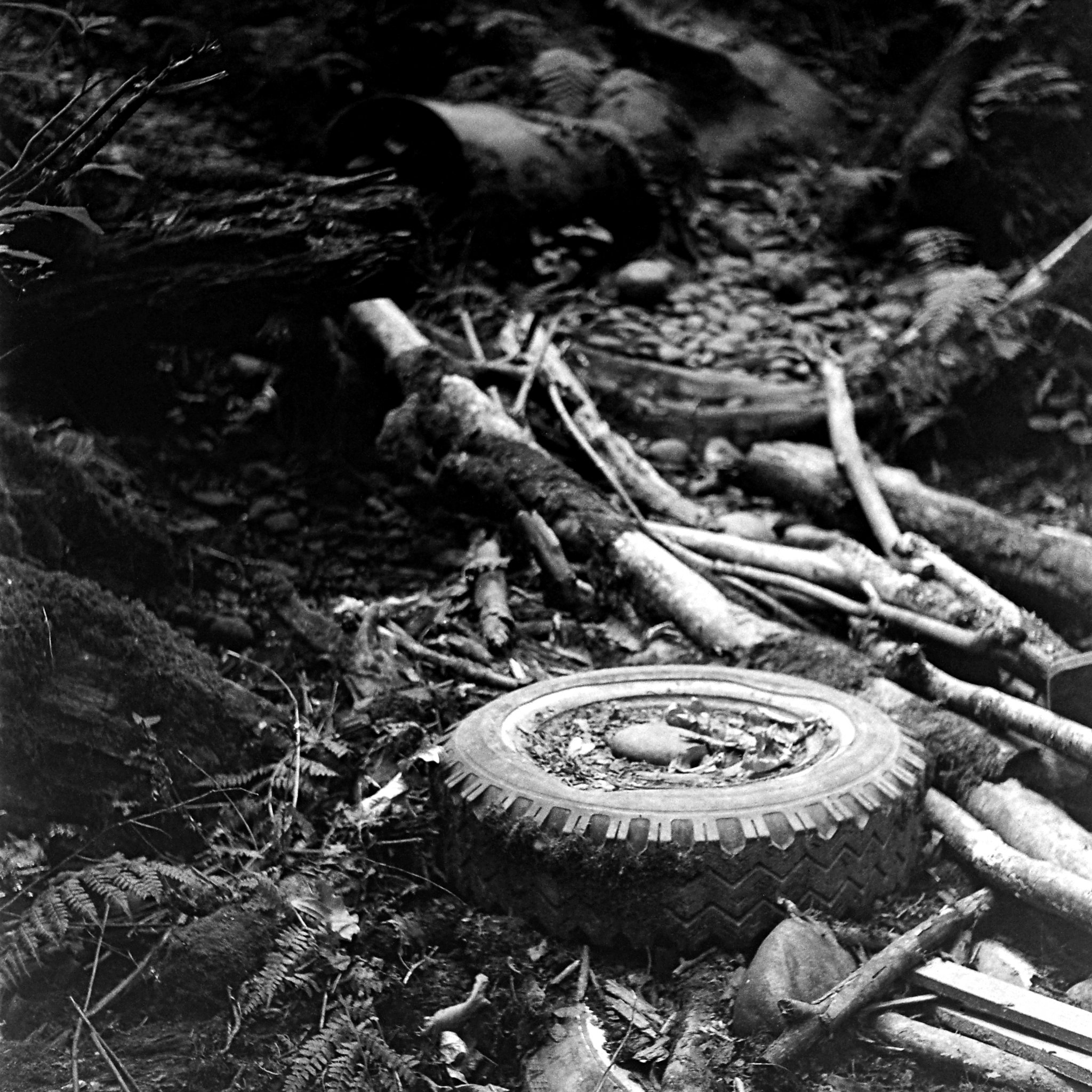 Tire