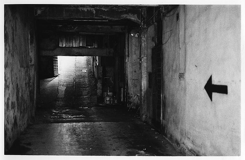 To The Light