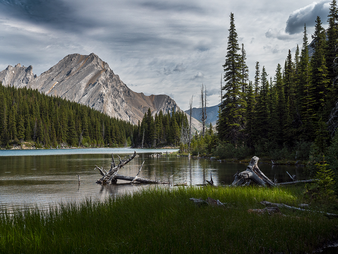Todays hike. Rae Glacier - AB