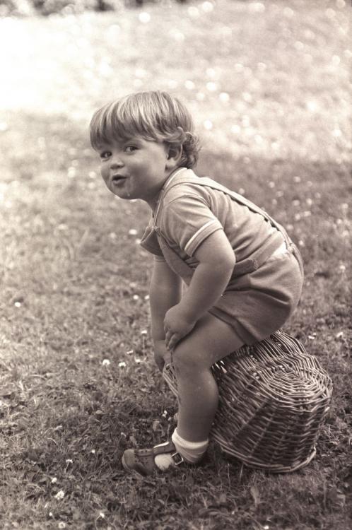 Tom And Basket