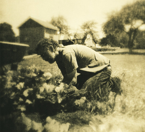 Tom In The Garden