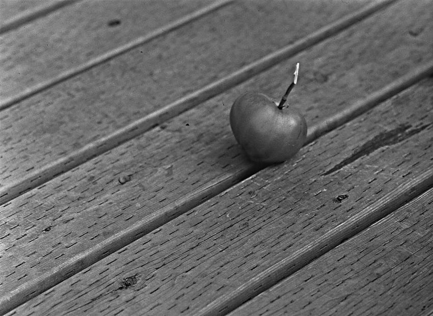 Tomato