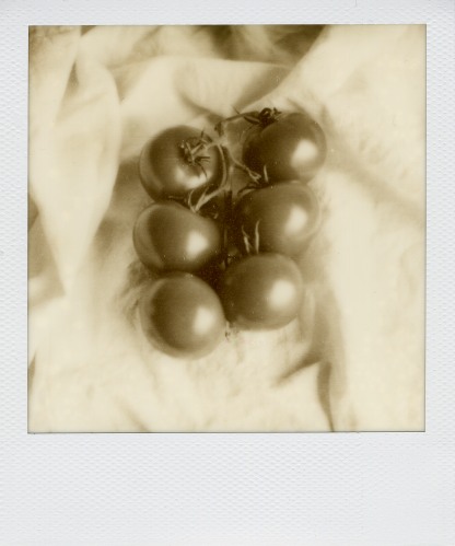 Tomatoes